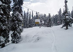 honeymoon-in-gulmarg