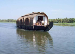 honeymoon in cochin