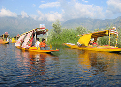 honeymoon in kashmir