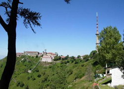 honeymoon-in-kasauli