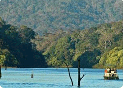 honeymoon in periyar